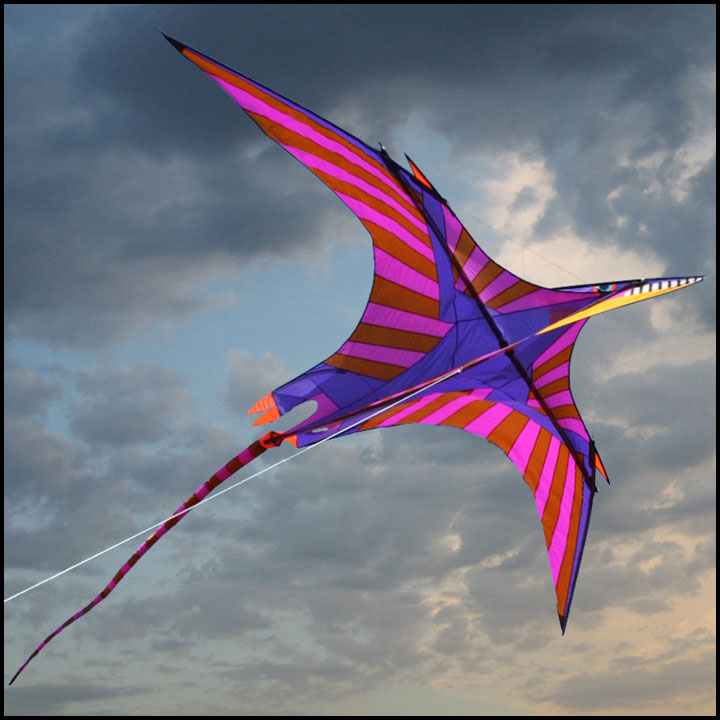 ittw-5657-gp-pterosaur.jpg ittw-5657-gp-pterosaur.jpg