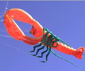 premierlobster.jpg